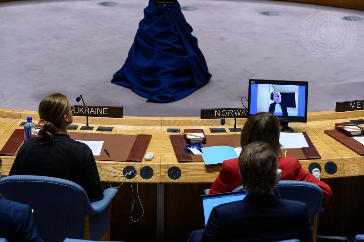 Norge og Ukraina sitter ved siden av hverandre under Sikkerhetsrådets møte om opprettholdelse av fred og sikkerhet i Ukraina. Foto: UN Photo/Loey Felipe.